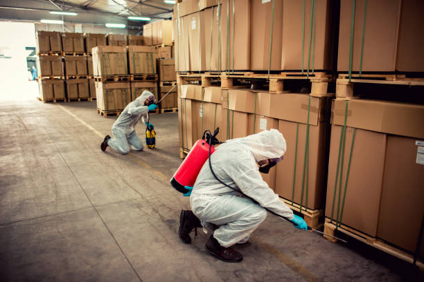 Best Wasp Removal Services  in Boyce, LA