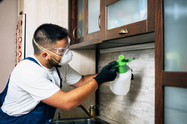 Reliable Boyce, LA Pest Control Solutions