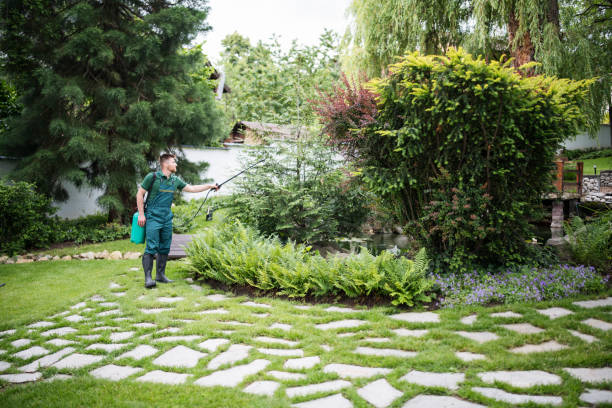 Best Commercial Pest Control Services  in Boyce, LA