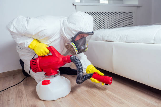 Flea Control Services in Boyce, LA