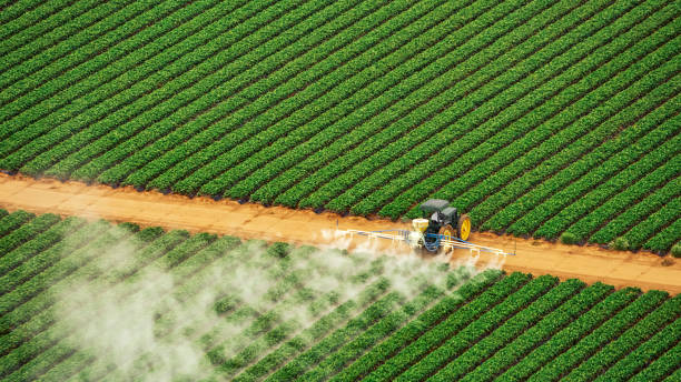 Best Pest Removal Services  in Boyce, LA