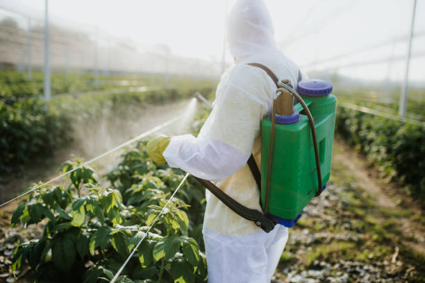 Professional Pest Control in Boyce, LA